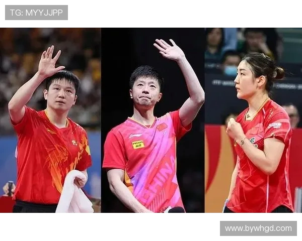 上海乒乓球队耐力排名创新高引发广泛关注与热议